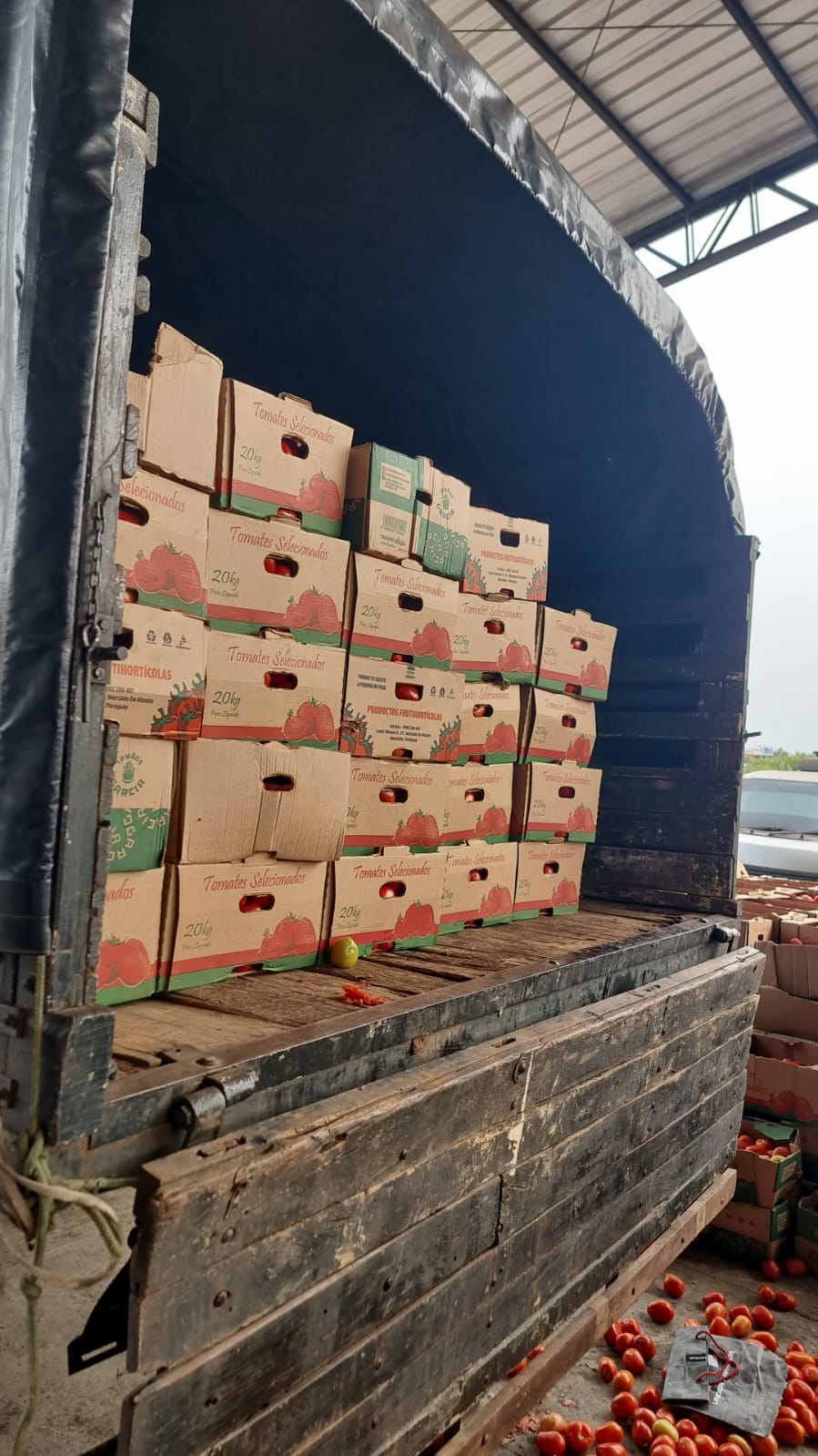 Carga de tomates.