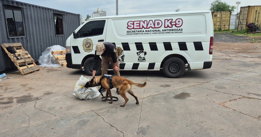 El can antidrogas reaccionó ante el paquete inspeccionado. 