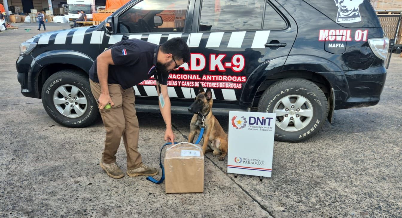 Presunta marihuana en encomienda aérea declarada como maquillaje