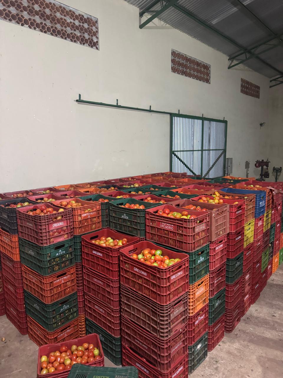 La DNIT incauta productos frutohortícolas en Capiibary