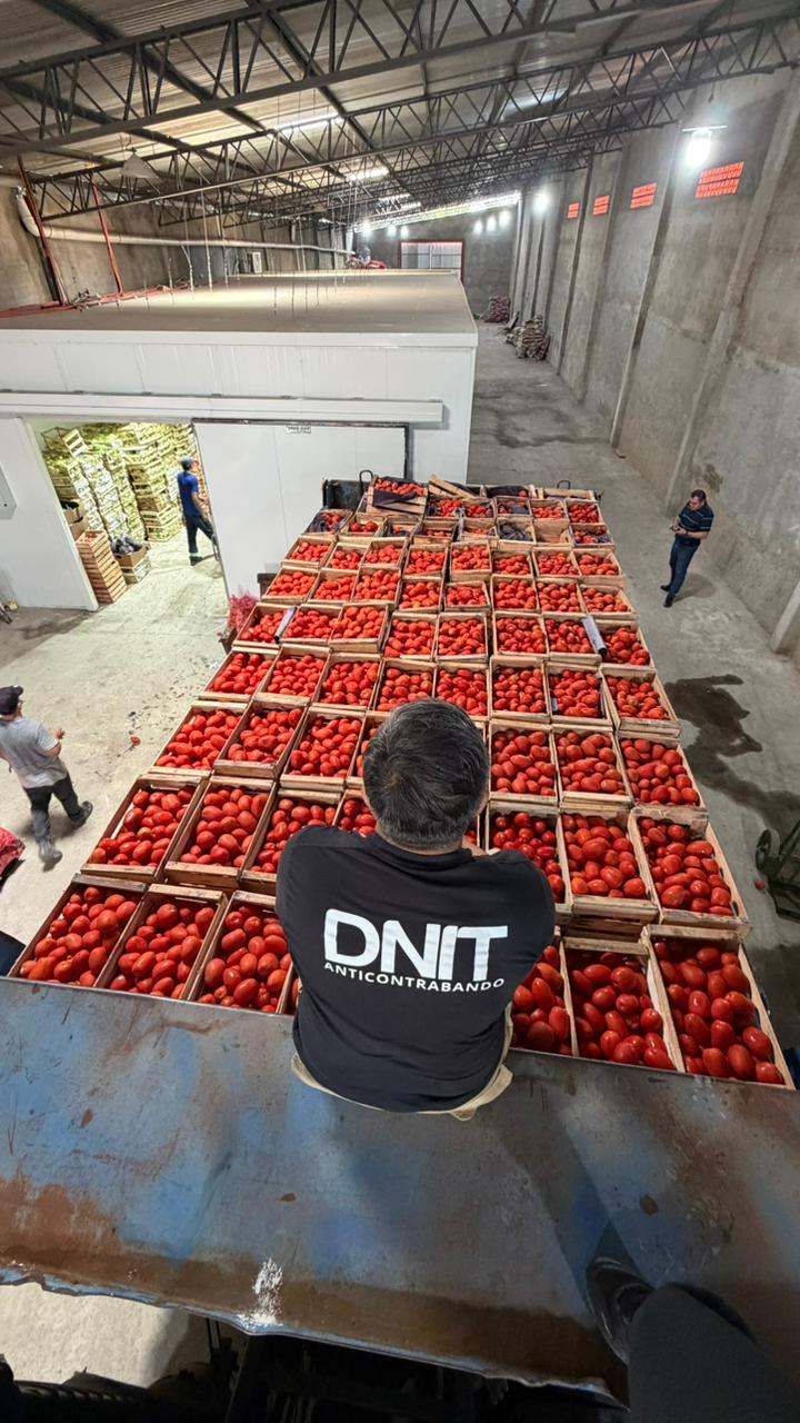 DNIT incauta más de 53 toneladas de productos frutihortícolas en depósito de Fernando de la Mora