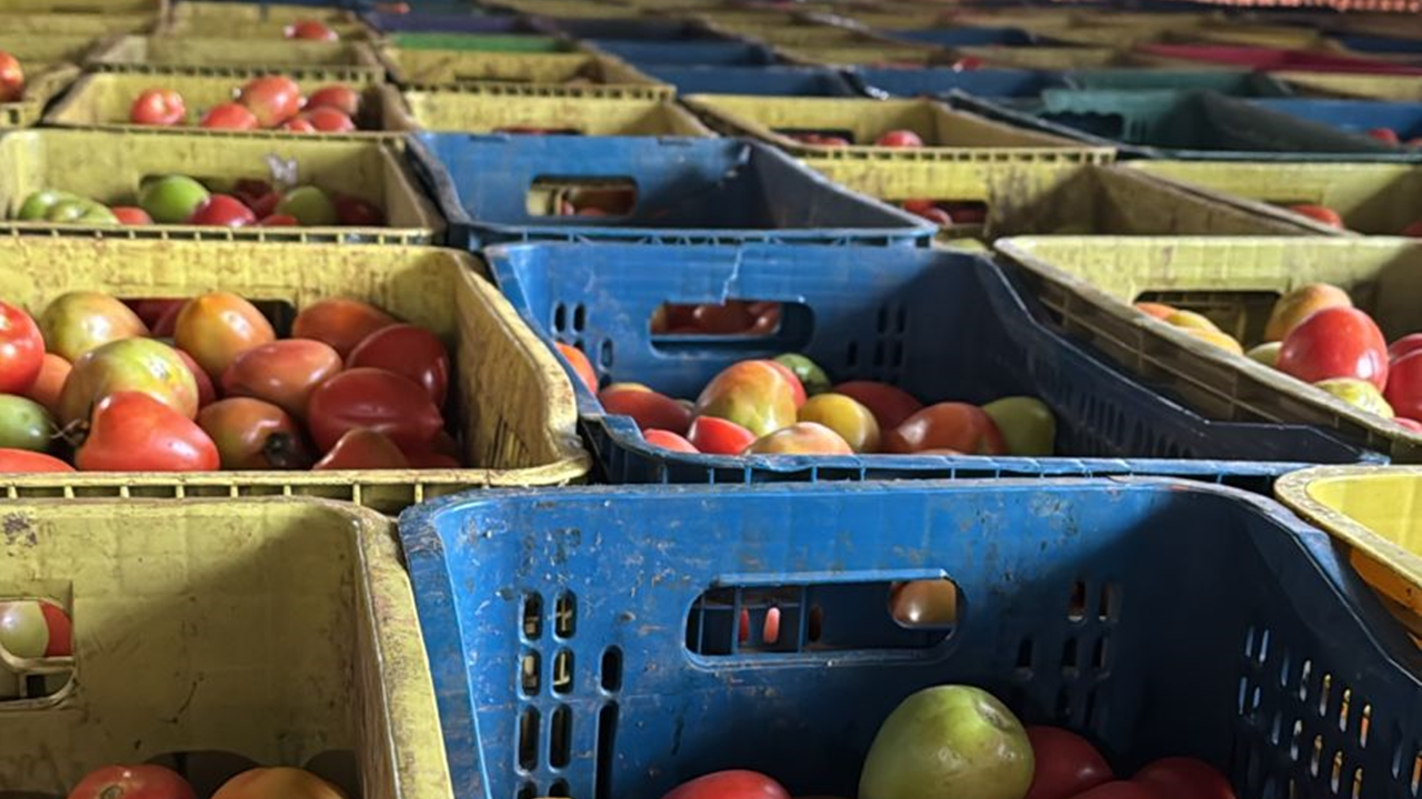 DNIT incauta más de 41 toneladas de tomates y cebollas en operativo en Ñemby